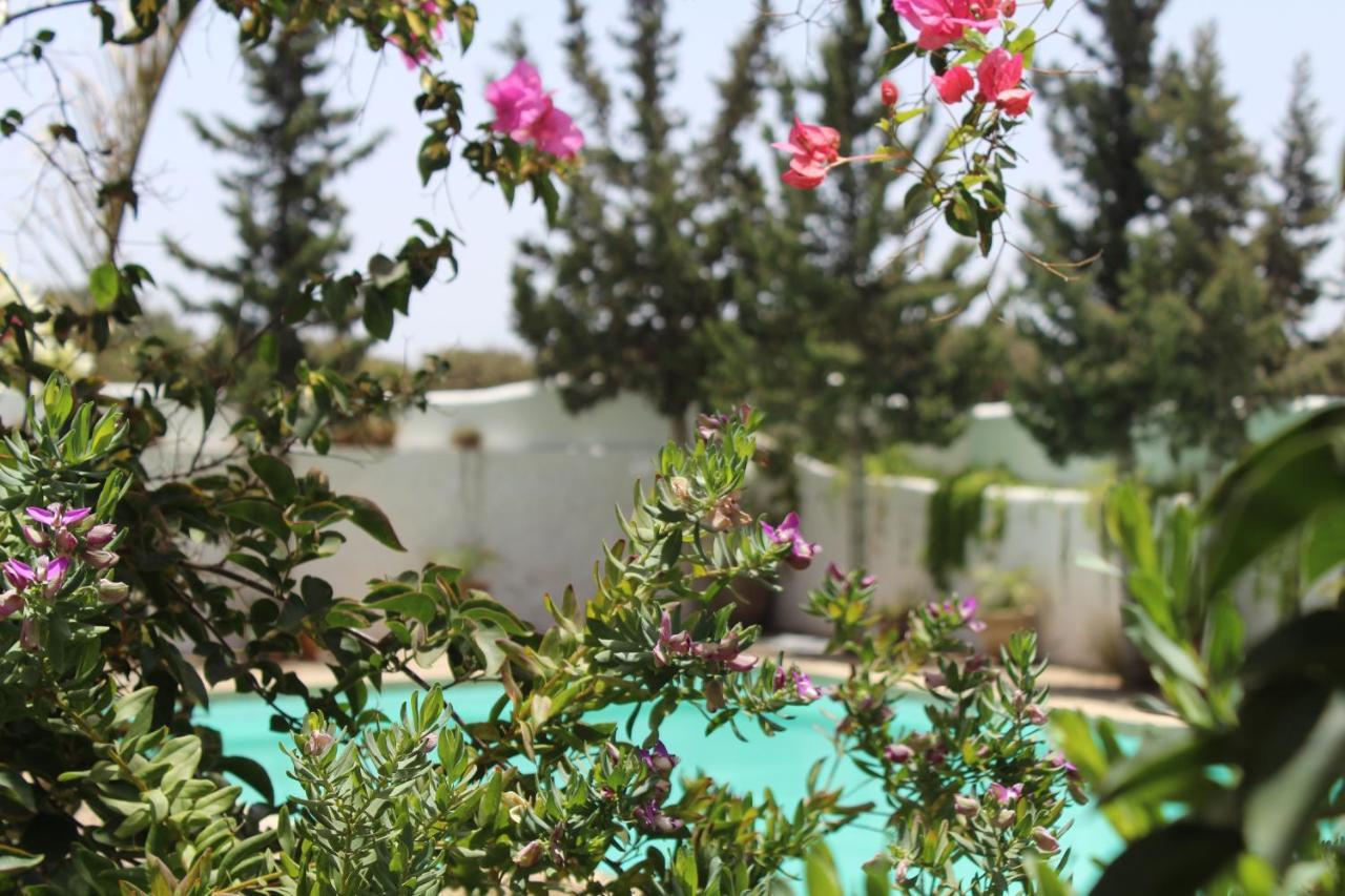 Riad Sanam Essaouira Exterior foto