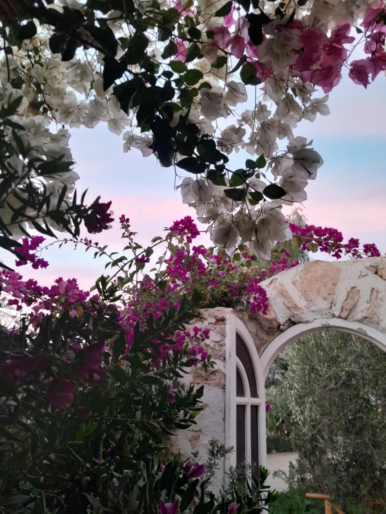 Riad Sanam Essaouira Exterior foto