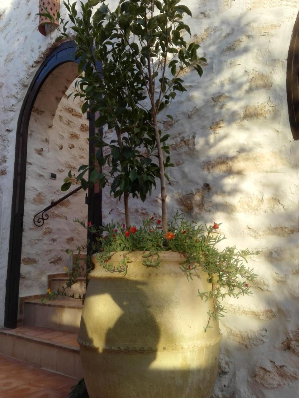 Riad Sanam Essaouira Exterior foto